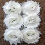Six Shabby Chic Flowers - ..