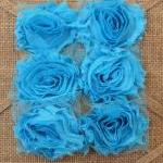 Six Shabby Chic Flowers - ..