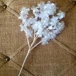 Baby Blue Flowe..