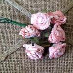 Baby Pink Cabba..
