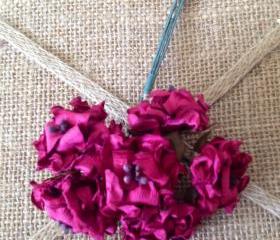 Plum Shabby stamen flowers