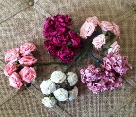Cabbage and Shabby stamen flower collection 