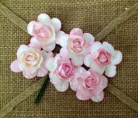 Blush Roses 