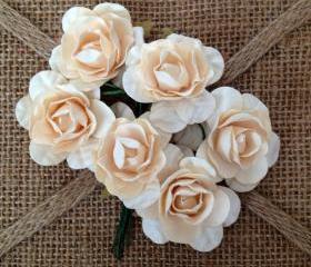 Champagne Roses 