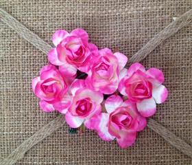 Fuschia Roses 