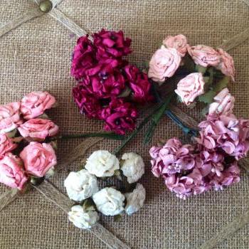 Cabbage and Shabby stamen flower collection 
