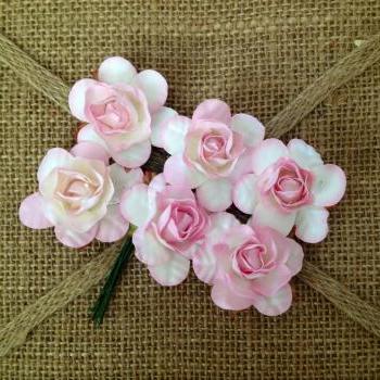 Blush Roses 