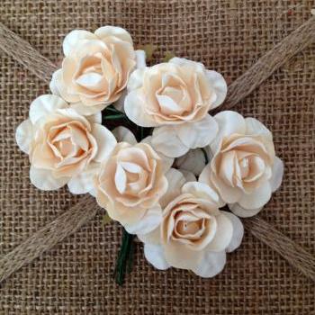 Champagne Roses 
