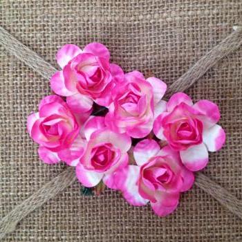 Fuschia Roses 